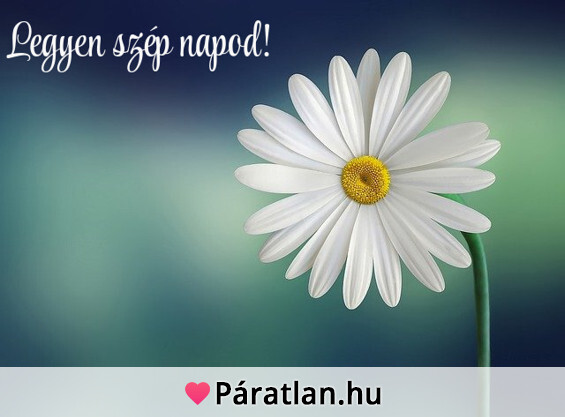 Legyen szép napod!