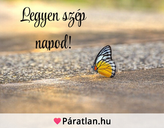 Legyen szép napod!