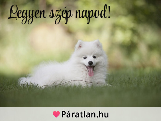 Legyen szép napod!