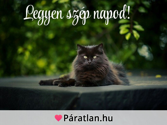 Legyen szép napod!