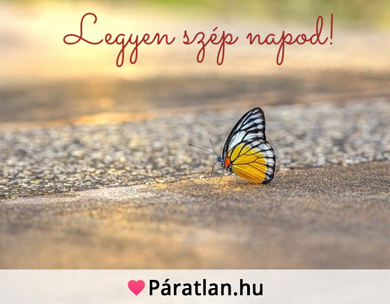 Legyen szép napod!