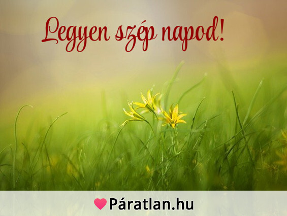 Legyen szép napod!