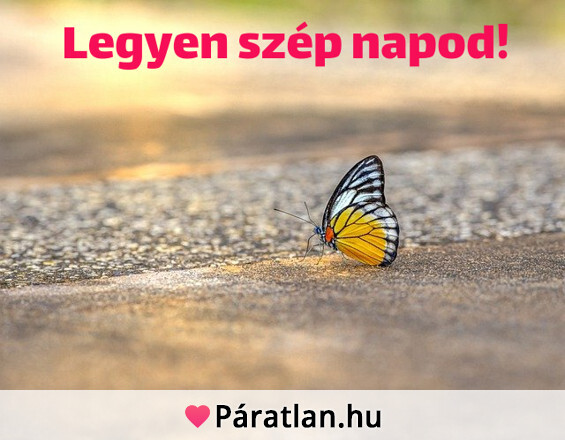 Legyen szép napod!