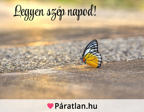 Legyen szép napod!