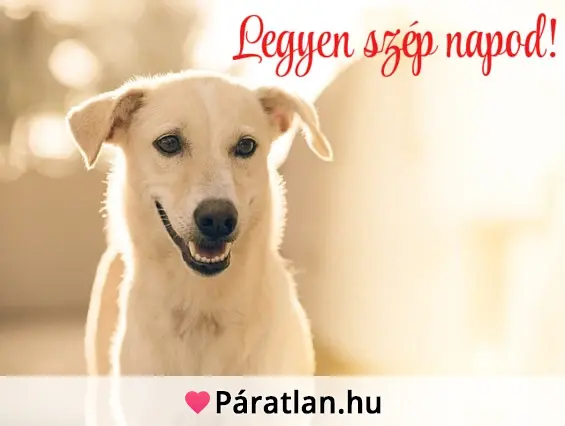 Legyen szép napod!