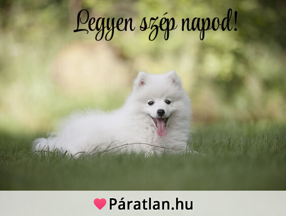 Legyen szép napod!