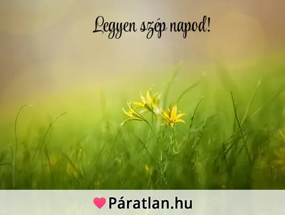 Legyen szép napod!