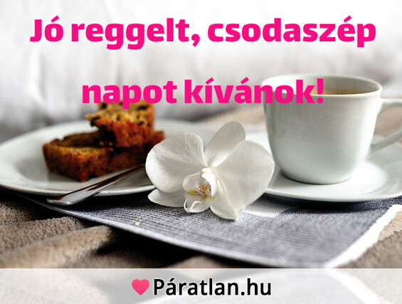 Jó reggelt, csodaszép napot kívánok!