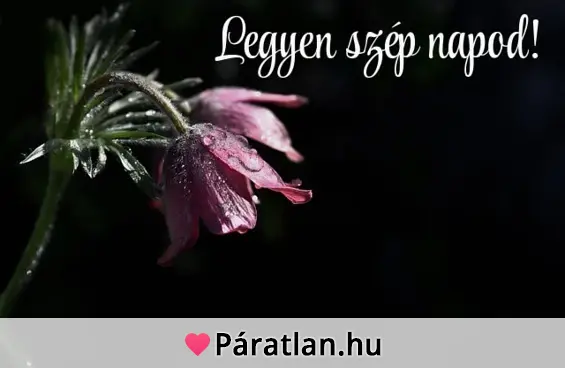 Legyen szép napod!