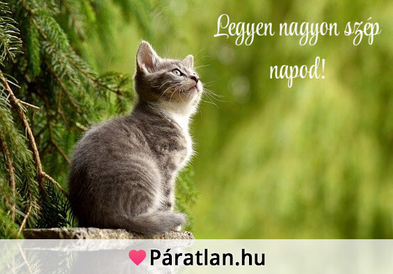 Legyen nagyon szép napod!