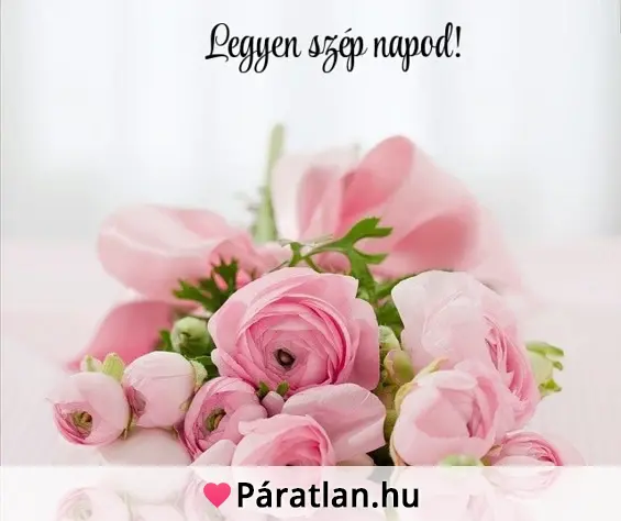 Legyen szép napod!