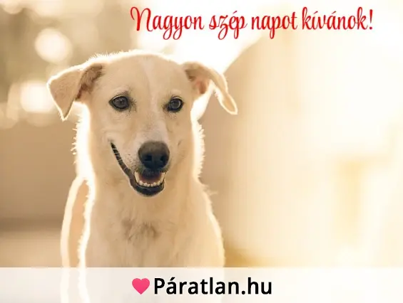 Nagyon szép napot kívánok!