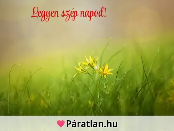 Legyen szép napod!