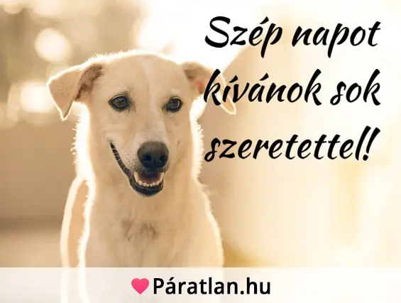 Szép napot kívánok sok szeretettel!