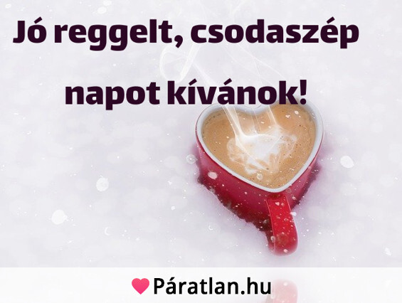 Jó reggelt, csodaszép napot kívánok!