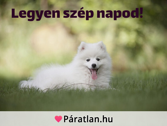 Legyen szép napod!