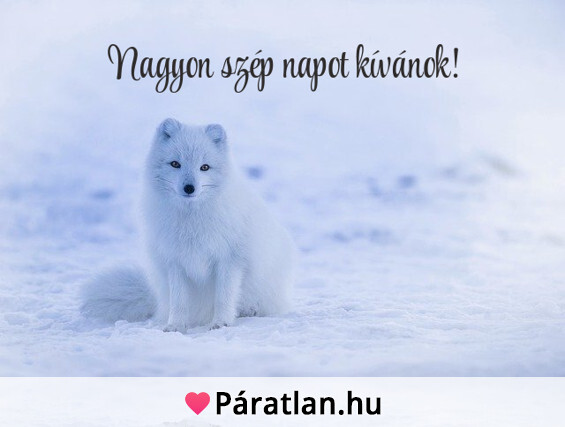 Nagyon szép napot kívánok!