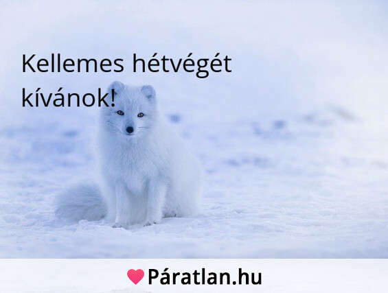 Kellemes hétvégét kívánok!