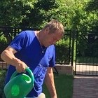 László, társkereső Kalocsa