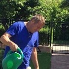 László, társkereső Kalocsa