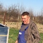 László, társkereső Kalocsa