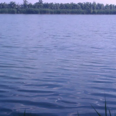 Ildi