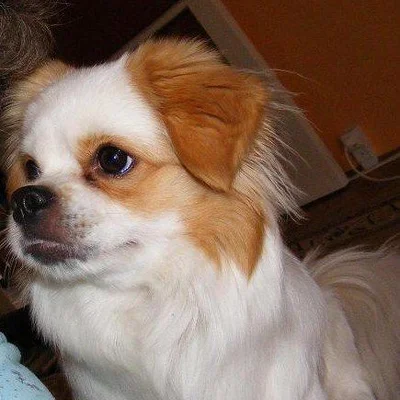 Ági
