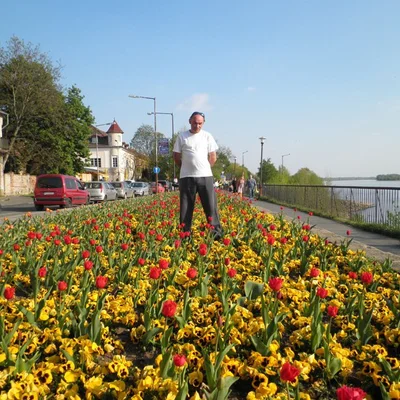 Árpád