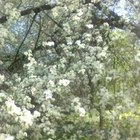 Margitka, társkereső Székesfehérvár