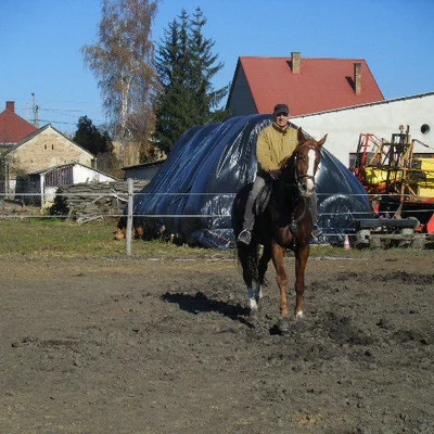 Gsándor
