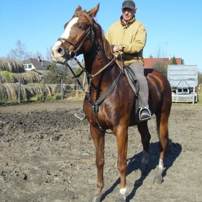 Gsándor