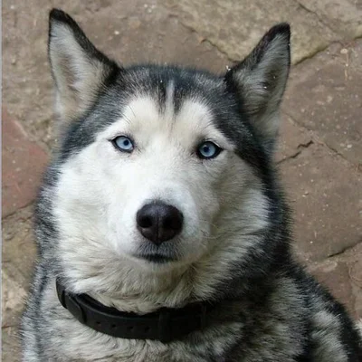 Gaben