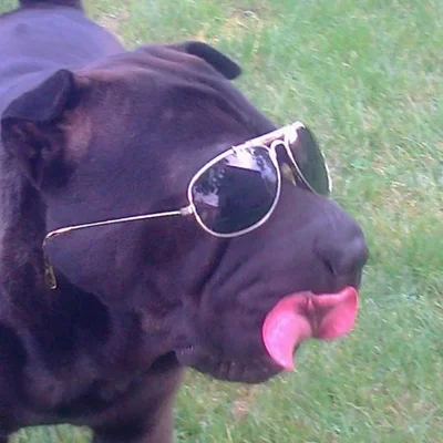 Norberto