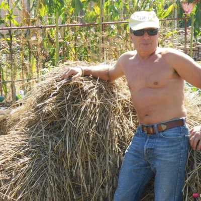 Tibor