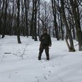 Tibi, társkereső Sárospatak