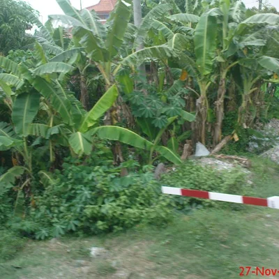 Zsombor