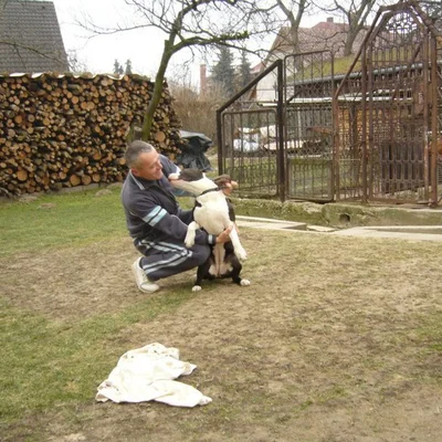 Sándor, Mór