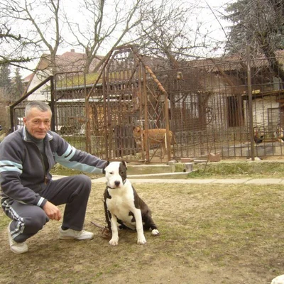 Sándor