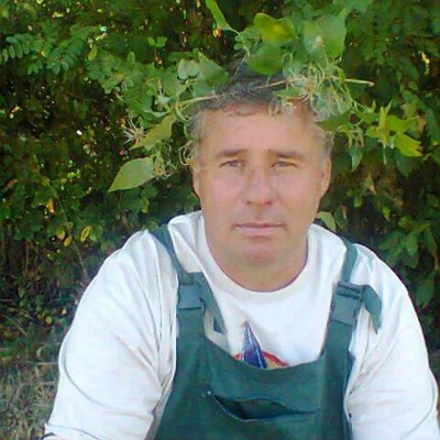Tamás