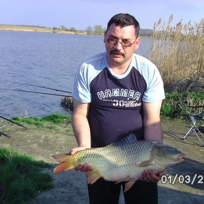 Miki, Gyömrő