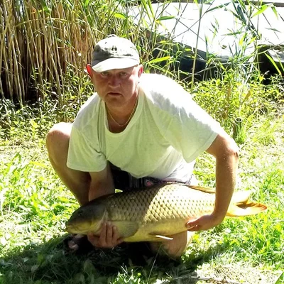 Csaba