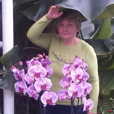 Líza
