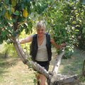 Dóra Tünde67, társkereső Solt