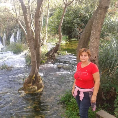Ibolya