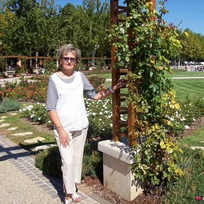 Zsuzsa