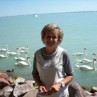 Zsuzsa, Székesfehérvár