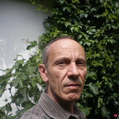 Ferenc, Szigetmonostor