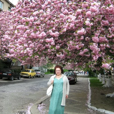 Kszena