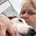 Zsu, társkereső Pécs