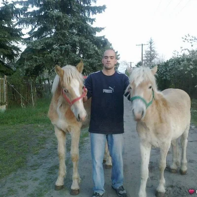 Tibor